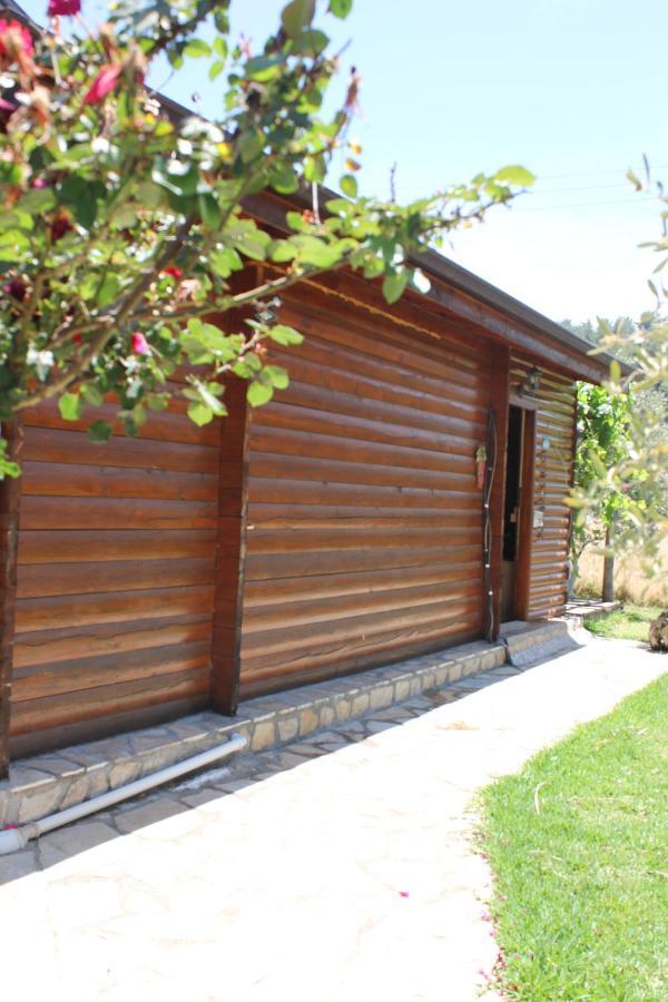 Bed and Breakfast Sakin Vadi Winehouse Orhaniye  Exterior foto