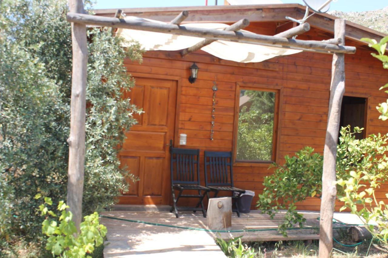 Bed and Breakfast Sakin Vadi Winehouse Orhaniye  Exterior foto